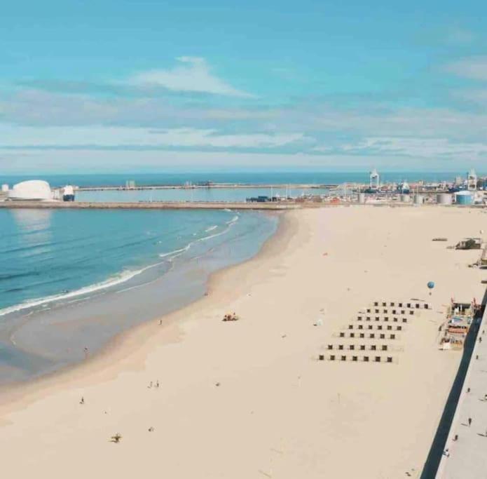 Lobo Do Mar Matosinhos